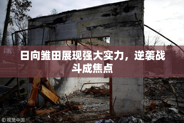 日向雏田展现强大实力，逆袭战斗成焦点