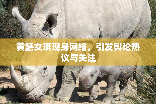 黄鳝女琪现身网络，引发舆论热议与关注