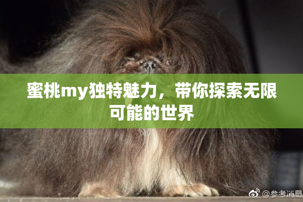 蜜桃my独特魅力，带你探索无限可能的世界
