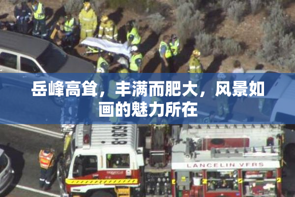 岳峰高耸，丰满而肥大，风景如画的魅力所在