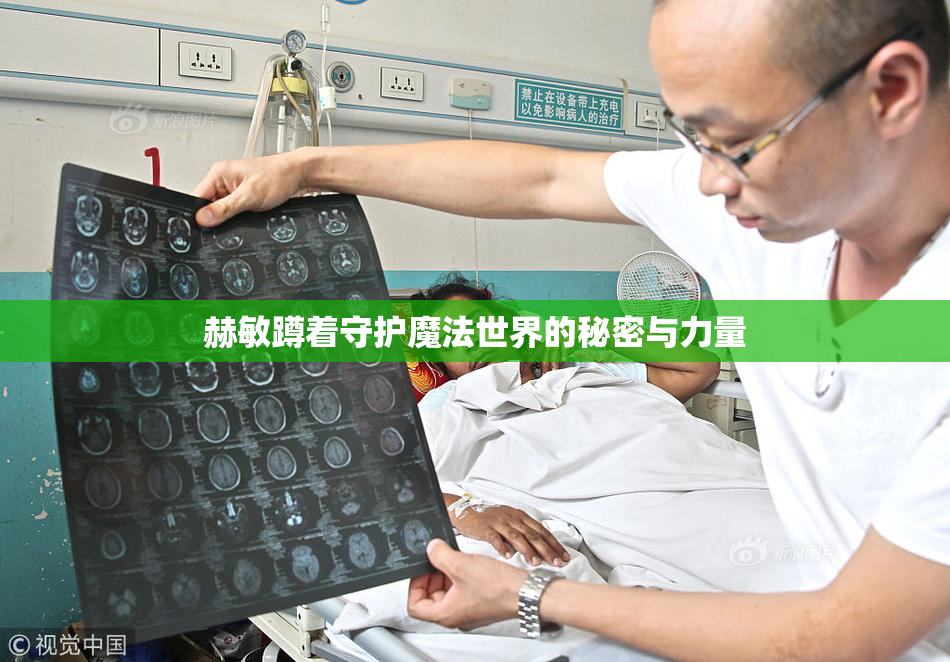 赫敏蹲着守护魔法世界的秘密与力量