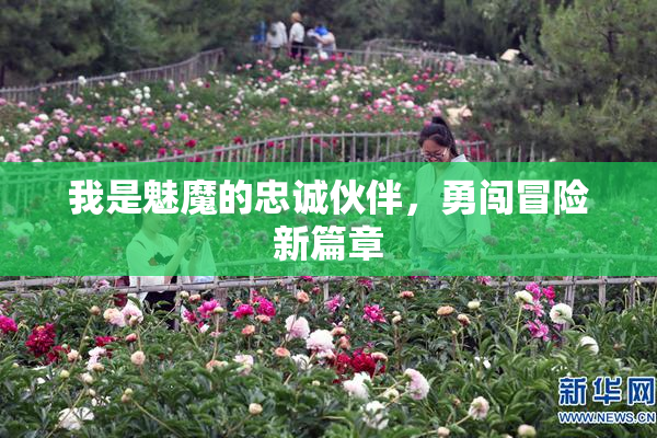 我是魅魔的忠诚伙伴，勇闯冒险新篇章