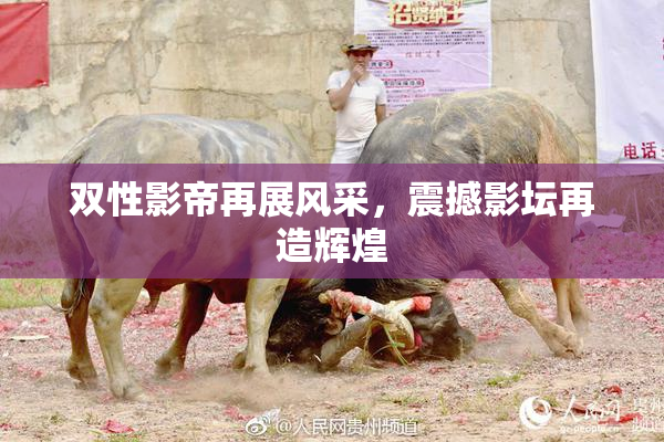 双性影帝再展风采，震撼影坛再造辉煌