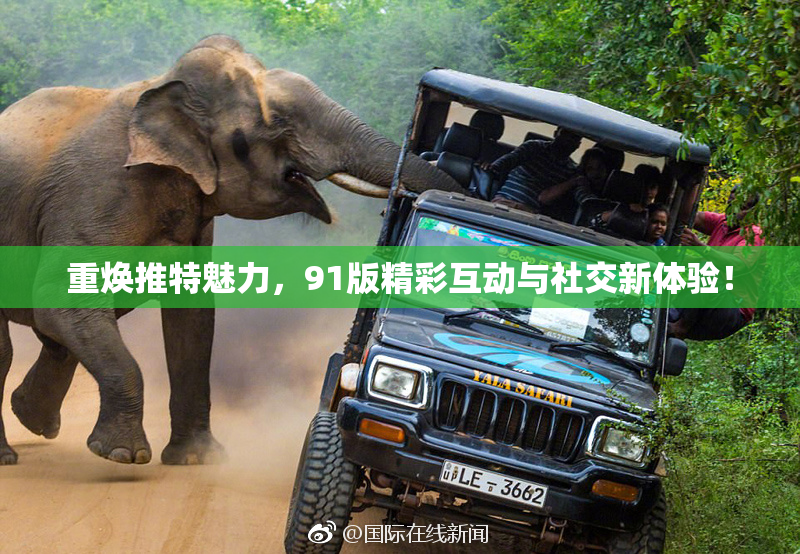 重焕推特魅力，91版精彩互动与社交新体验！