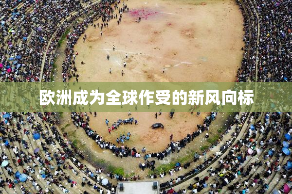 欧洲成为全球作受的新风向标
