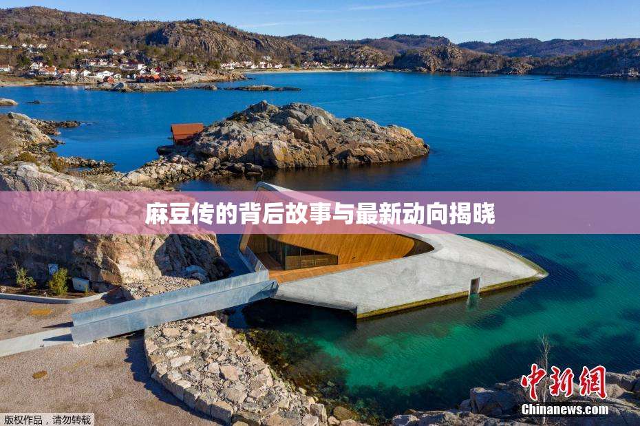 麻豆传的背后故事与最新动向揭晓