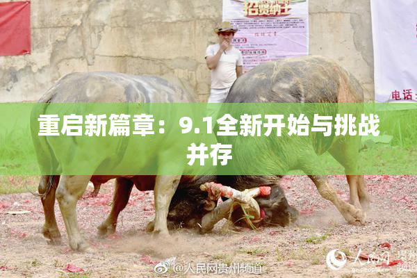 重启新篇章：9.1全新开始与挑战并存