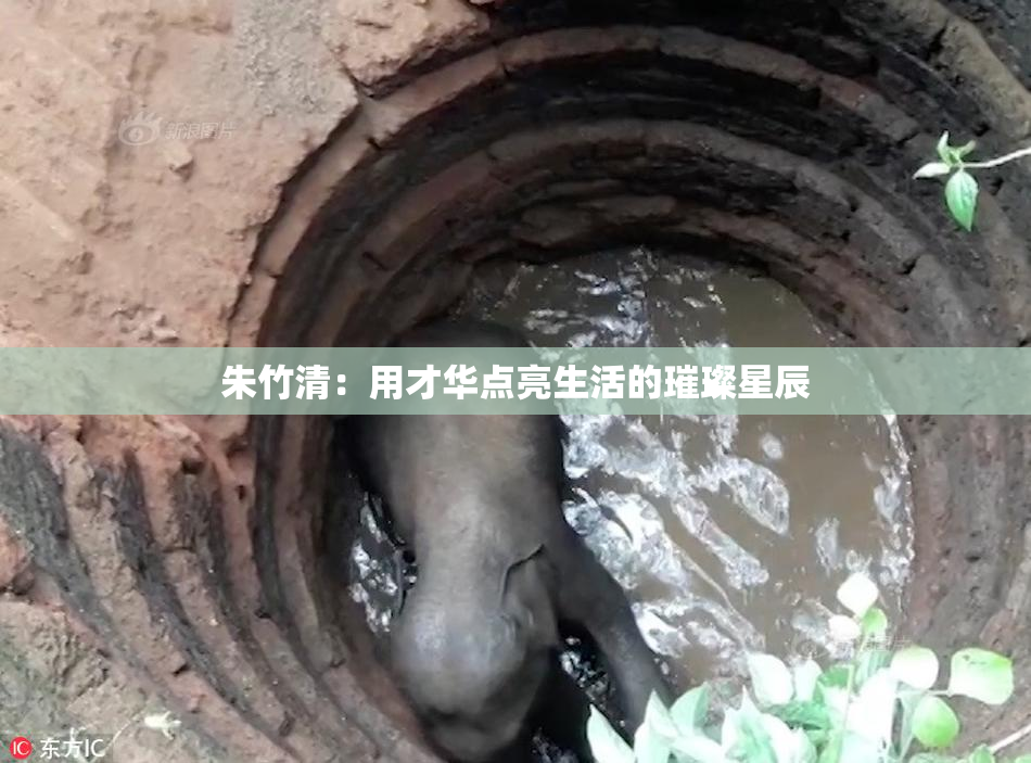 朱竹清：用才华点亮生活的璀璨星辰