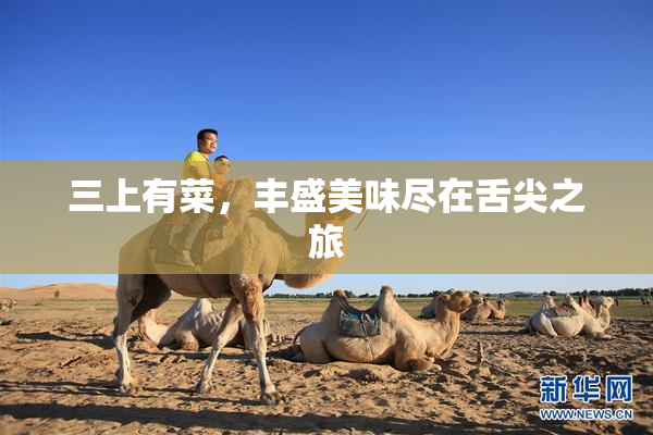 三上有菜，丰盛美味尽在舌尖之旅