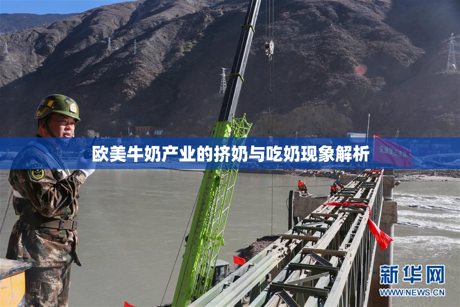 欧美牛奶产业的挤奶与吃奶现象解析