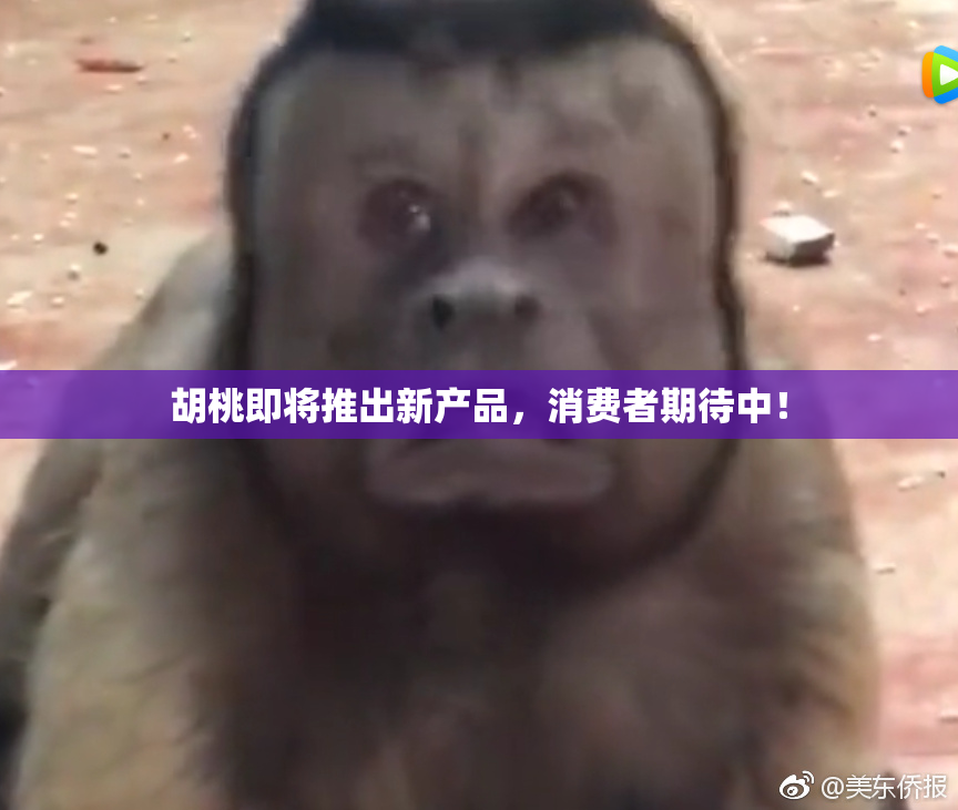 胡桃即将推出新产品，消费者期待中！