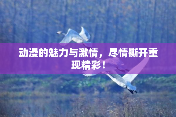 动漫的魅力与激情，尽情撕开重现精彩！