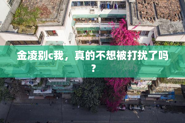 金凌别c我，真的不想被打扰了吗？