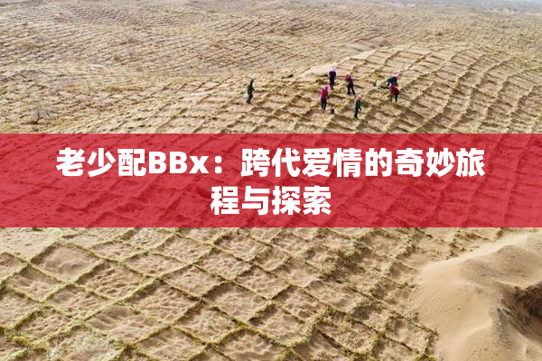 老少配BBx：跨代爱情的奇妙旅程与探索