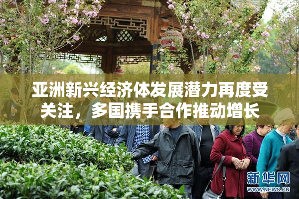 亚洲新兴经济体发展潜力再度受关注，多国携手合作推动增长