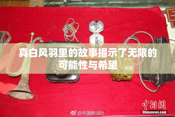 真白风羽里的故事揭示了无限的可能性与希望
