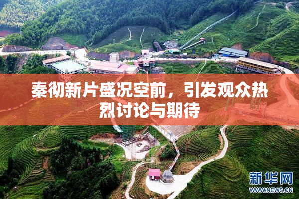 秦彻新片盛况空前，引发观众热烈讨论与期待