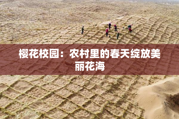 樱花校园：农村里的春天绽放美丽花海