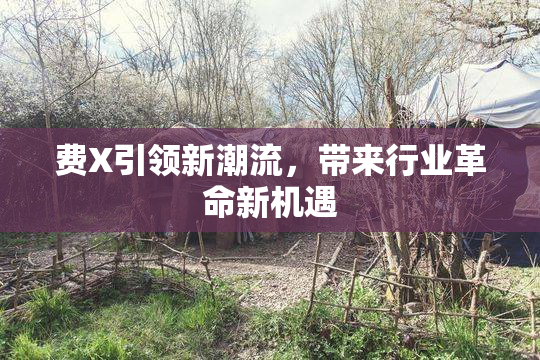费X引领新潮流，带来行业革命新机遇