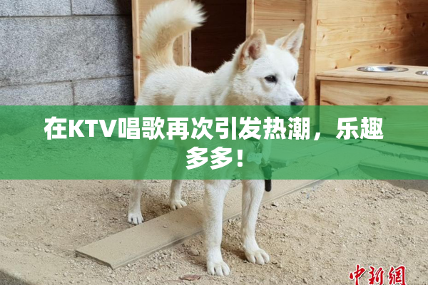 在KTV唱歌再次引发热潮，乐趣多多！