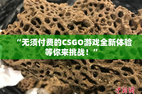 “无须付费的CSGO游戏全新体验等你来挑战！”