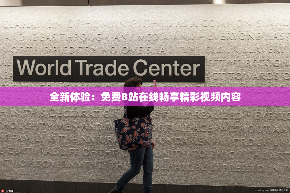 全新体验：免费B站在线畅享精彩视频内容
