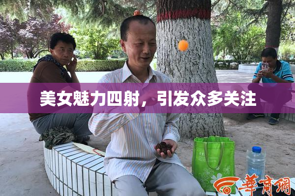 美女魅力四射，引发众多关注
