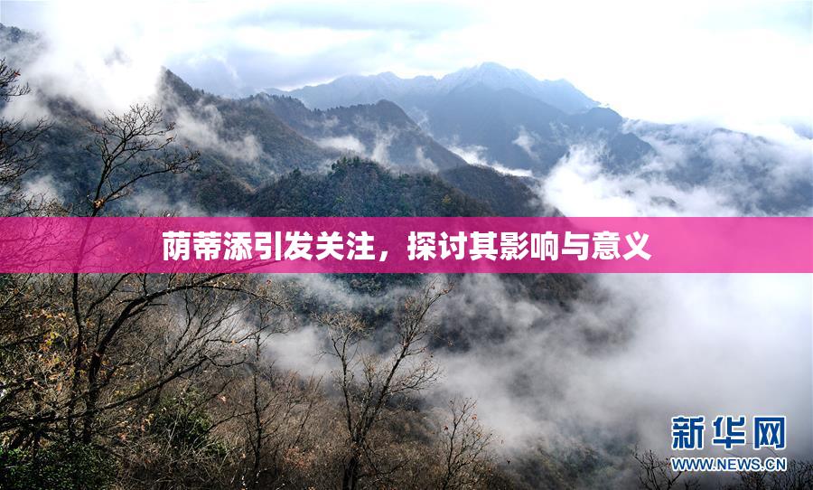 荫蒂添引发关注，探讨其影响与意义