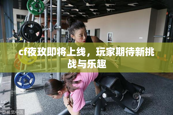 cf夜玫即将上线，玩家期待新挑战与乐趣
