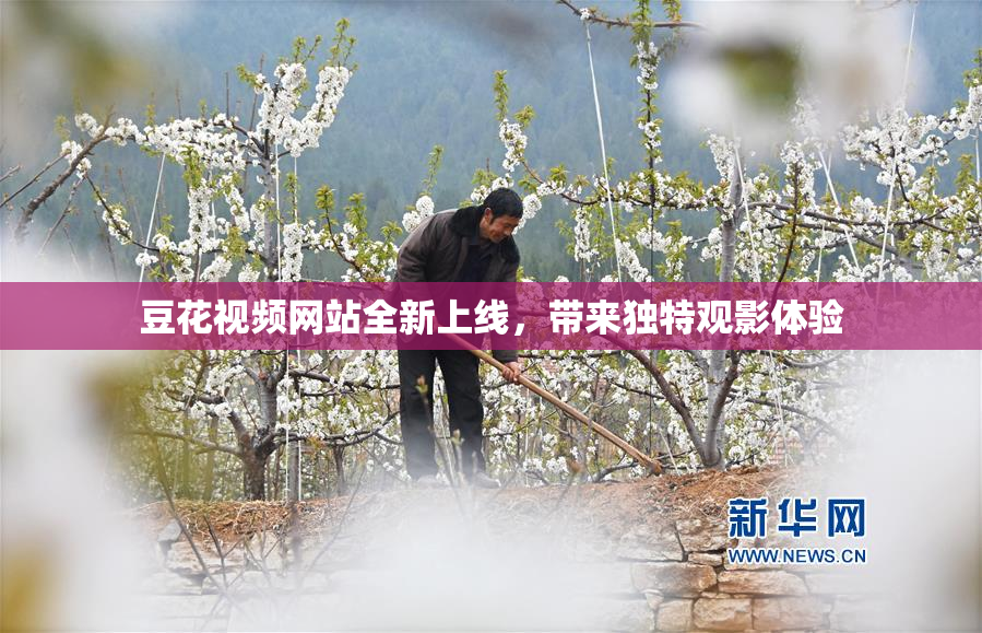 豆花视频网站全新上线，带来独特观影体验