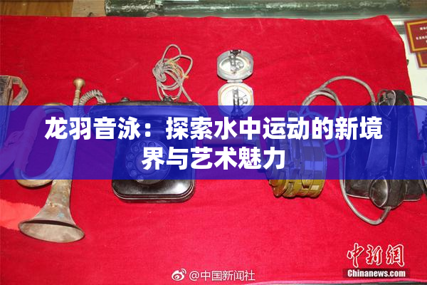 龙羽音泳：探索水中运动的新境界与艺术魅力