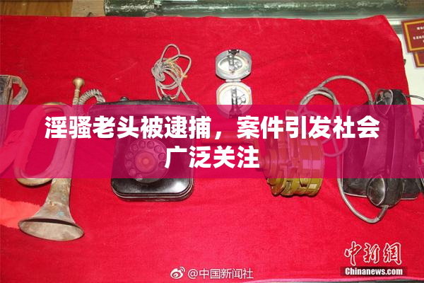 淫骚老头被逮捕，案件引发社会广泛关注