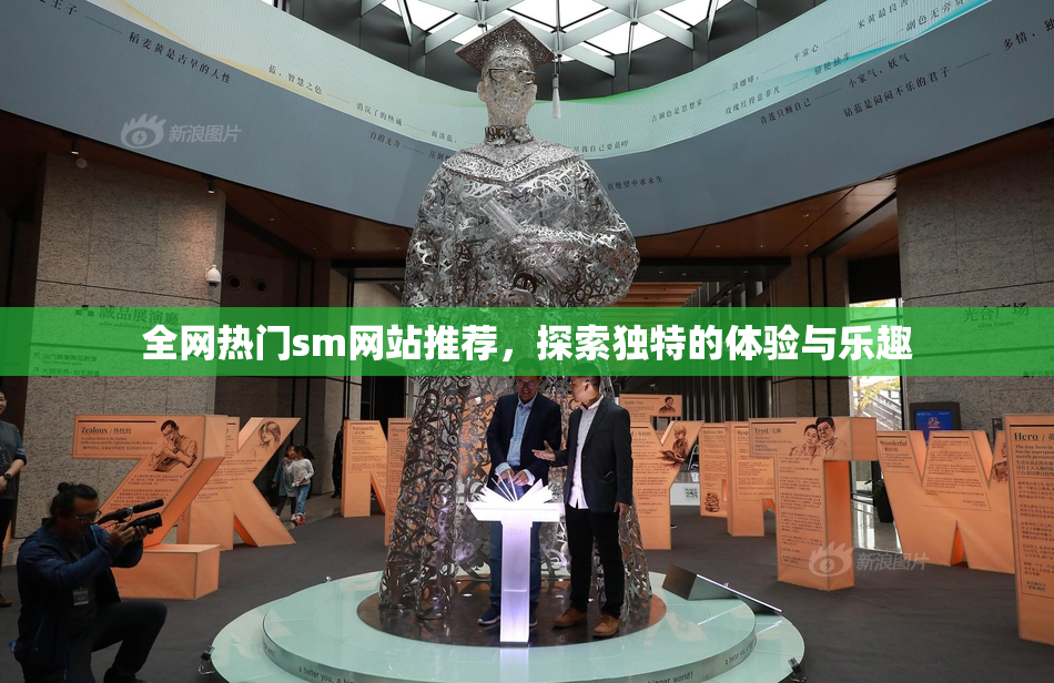 全网热门sm网站推荐，探索独特的体验与乐趣