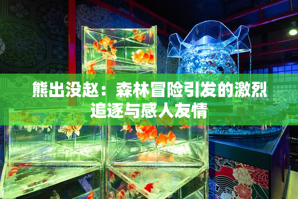 熊出没赵：森林冒险引发的激烈追逐与感人友情