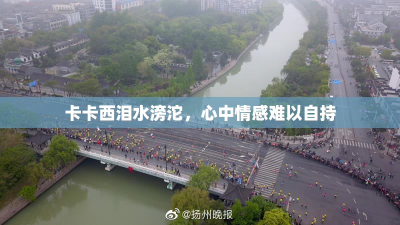 卡卡西泪水滂沱，心中情感难以自持