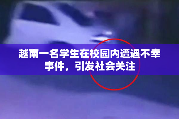 越南一名学生在校园内遭遇不幸事件，引发社会关注