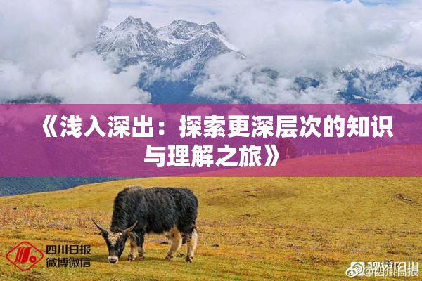 《浅入深出：探索更深层次的知识与理解之旅》