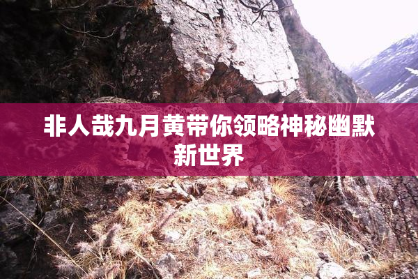 非人哉九月黄带你领略神秘幽默新世界