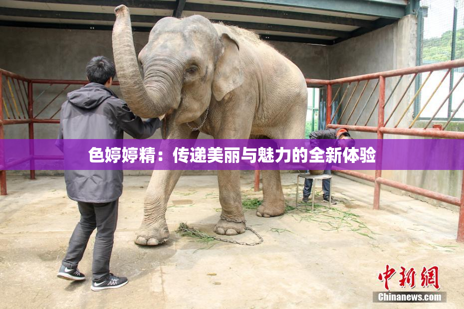 色婷婷精：传递美丽与魅力的全新体验