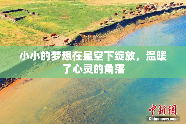 小小的梦想在星空下绽放，温暖了心灵的角落