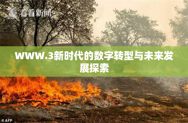 WWW.3新时代的数字转型与未来发展探索
