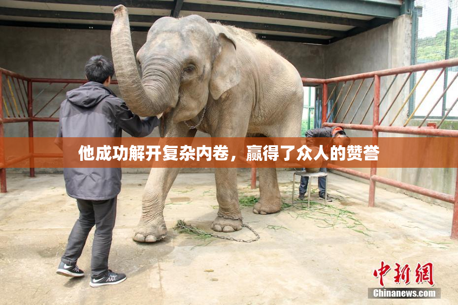 他成功解开复杂内卷，赢得了众人的赞誉
