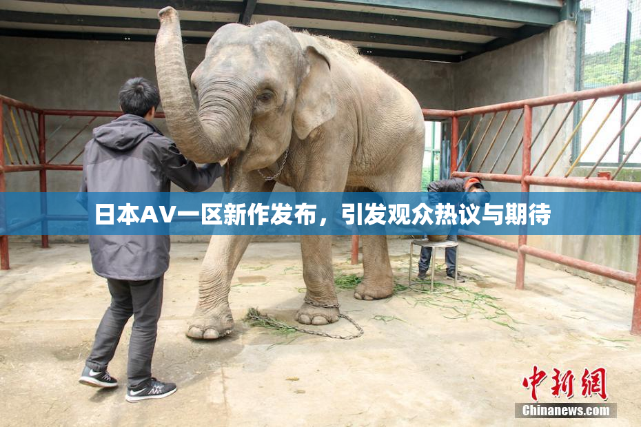 日本AV一区新作发布，引发观众热议与期待