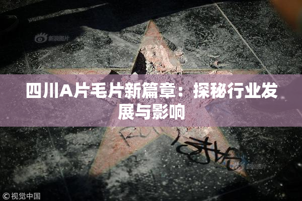 四川A片毛片新篇章：探秘行业发展与影响