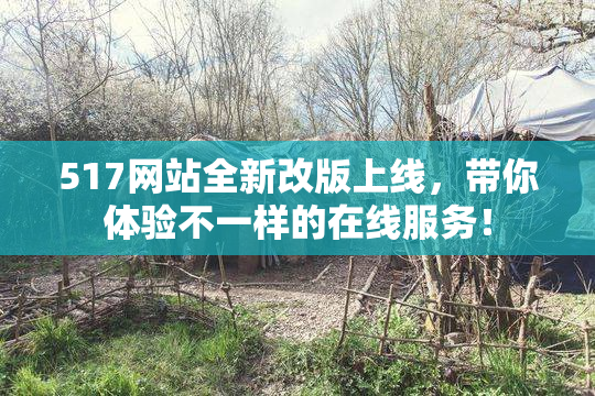 517网站全新改版上线，带你体验不一样的在线服务！