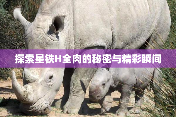 探索星铁H全肉的秘密与精彩瞬间