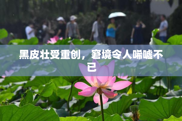 黑皮壮受重创，窘境令人唏嘘不已