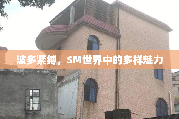 波多紧缚，SM世界中的多样魅力