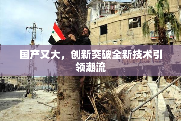 国产又大，创新突破全新技术引领潮流