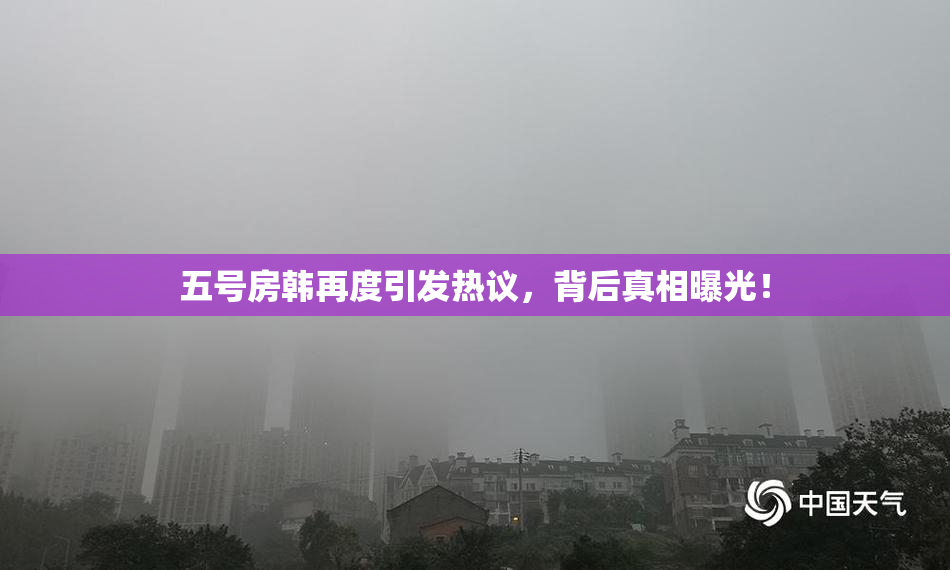 五号房韩再度引发热议，背后真相曝光！